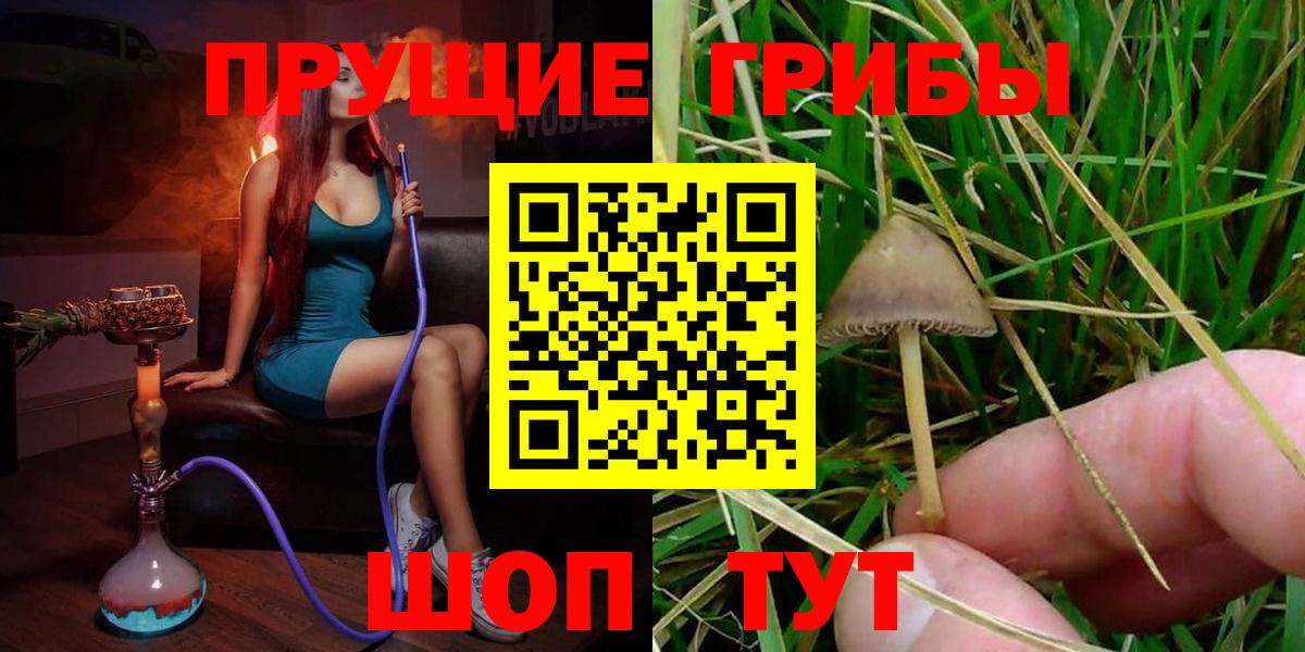 Псилоцибиновые грибы мухоморы  Псилоцибиновые грибы Magic Shrooms  Вход с VPN  Моздок 